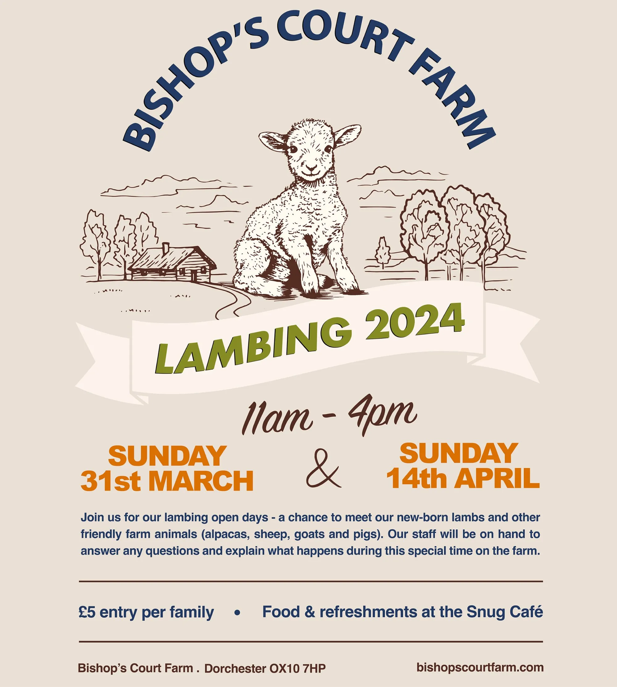 Bishops Court Farm: Lambing 2024