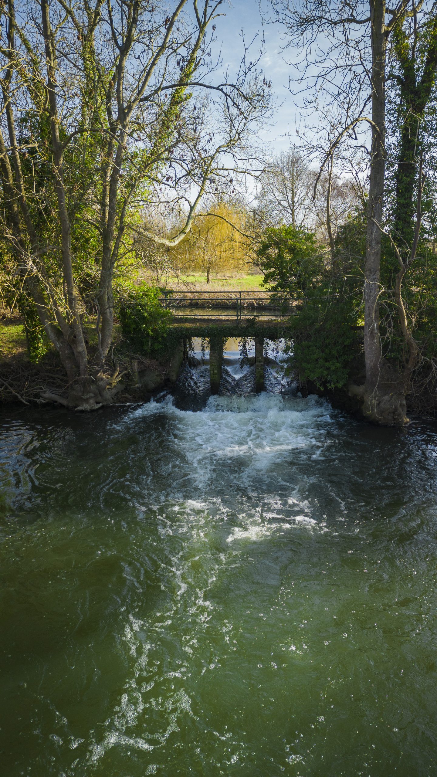 Dorchester fish passage and Bucks pool weir solution Public Consultation